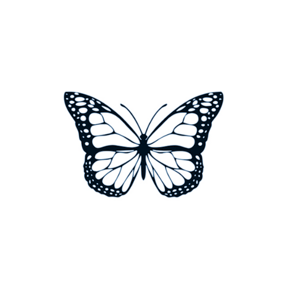 Small butterfly